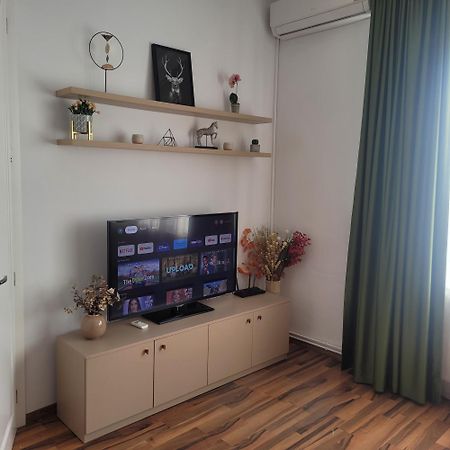 B8 - Spacious, Charming Apartment In Central Sibiu Ngoại thất bức ảnh