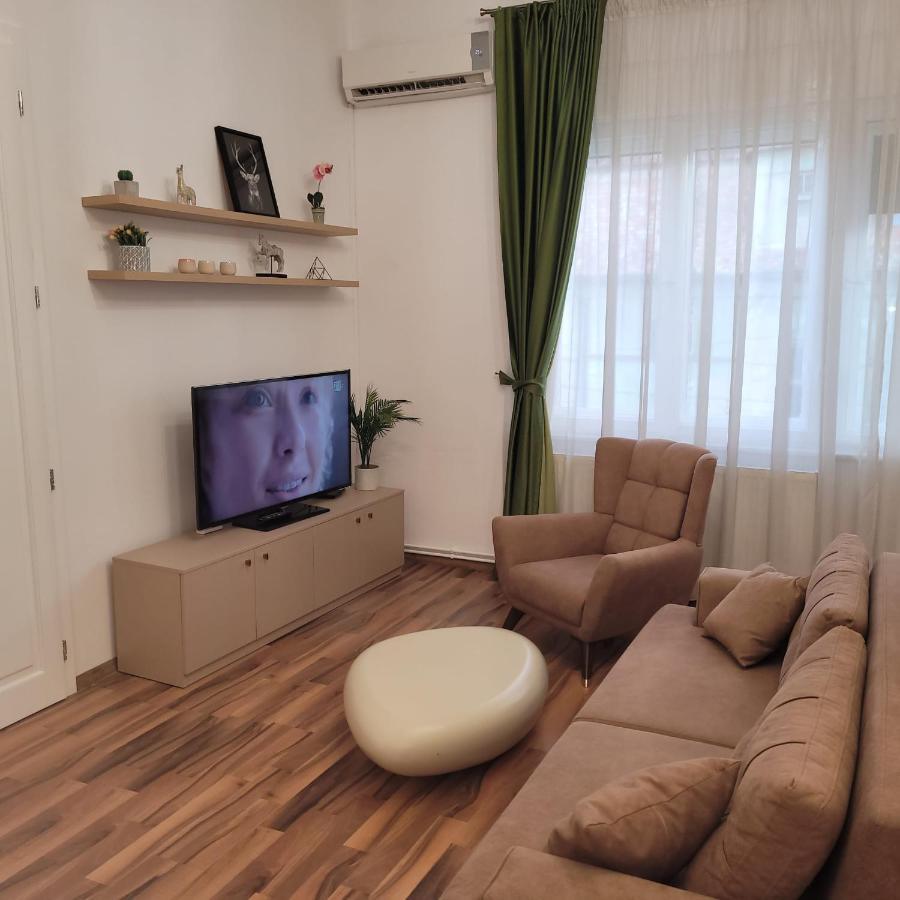 B8 - Spacious, Charming Apartment In Central Sibiu Ngoại thất bức ảnh