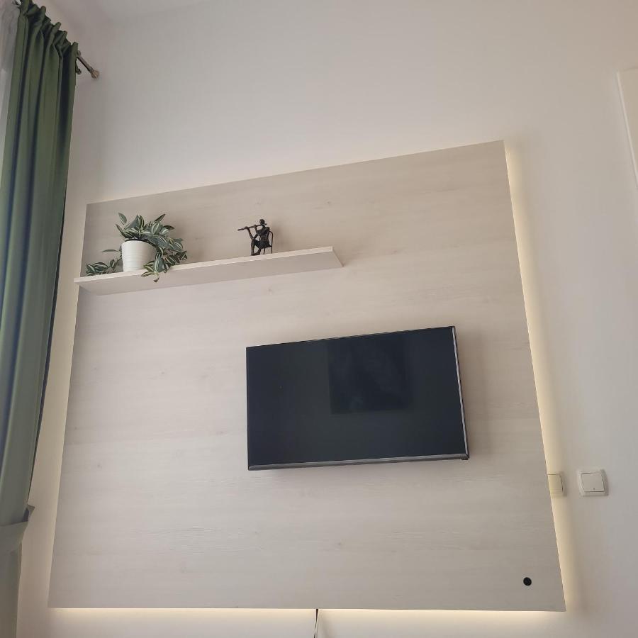 B8 - Spacious, Charming Apartment In Central Sibiu Ngoại thất bức ảnh